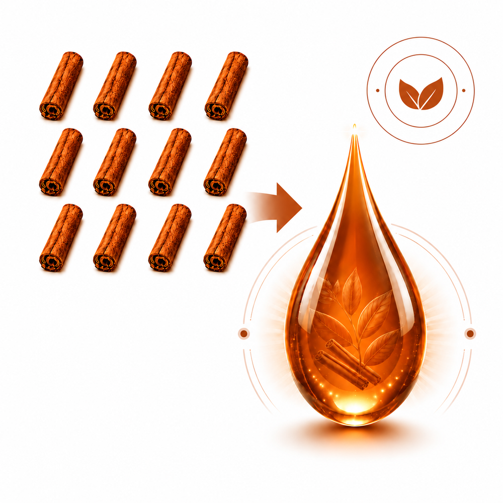 12:1 Concentrated Potency